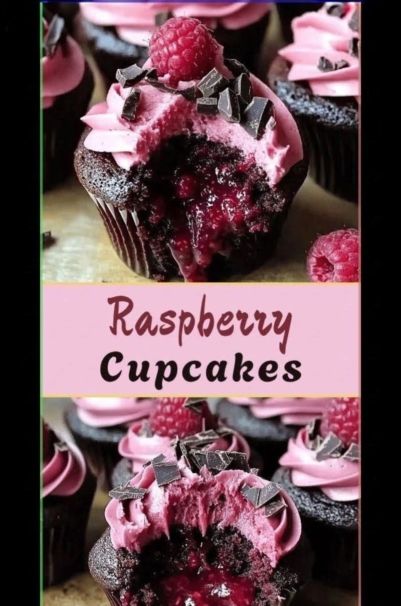 Raspberry Oreo Cheesecake Brownie Chocolate Chunk Mousse Chocolate Cupcake