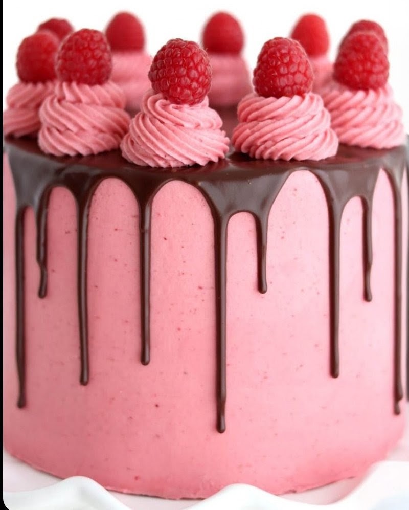 Raspberry & Chocolate Chocolate Chunk Oreo Cheesecake Mousse Cake Bar